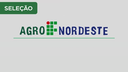agroifnordeste