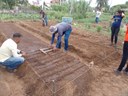 Levantamento de canteiros, transplantio e semeadura