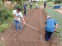 Levantamento de canteiros, transplantio e semeadura