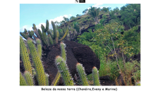 Primeira colocada na categoria fotografia