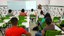 Comunicação Oral - III Sempeex