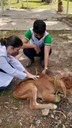 Visita ocorreu para complementar a formação teórica da disciplina de bovinocultura