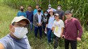 Visita ocorreu para complementar a formação teórica da disciplina de bovinocultura