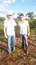 visita técnica