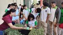 Visita técnica
