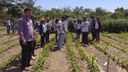 Perímetro Irrigado Tabuleiros Litorâneos do Piauí e área de pesquisas da Embrapa