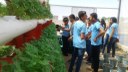 Visita