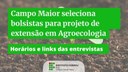 Confira