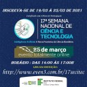 17ª SNCT