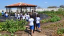 Educação Ambiental na Infância: Perspectivas e Desafios