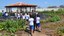 Educação Ambiental na Infância: Perspectivas e Desafios