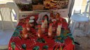 A tenda do IFPI recebeu visitas de agricultores, pecuaristas, estudantes e representantes de empresas e do Poder Legislativo