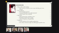 A apresentação foi realizada no formato on-line