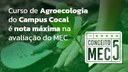 Avaliação