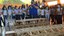 Campeonato de Pontes de Palito