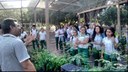 Visita