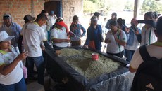 A visita aliou a teoria com prática