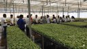 A visita faz parte das disciplinas de Silvicultura e Práticas em Agricultura