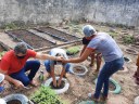Implantação de Horta