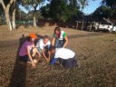 Plantio de mudas na barragem do bezerro