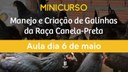 Confira