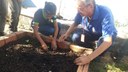 A implantação dessas hortas é parte de uma ação do Núcleo de Estudos Agroecológico do Campus José de Freitas