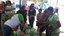 Feira da Cidadania