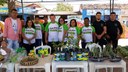 Feira da Cidadania