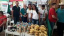 Feira