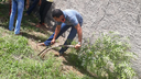 Foram promovidas ações em escolas e comunidades do município, tendo como foco o projeto JF Mais Verde