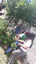 Meio Ambiente