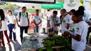 O evento foi criado pelo MAPA para difundir os produtos orgânicos e seus benefícios nutritivos, ambientais e sociais