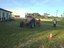 treinamento de trator