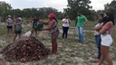 Treinamento