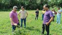 Visita
