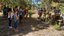 Passeio
