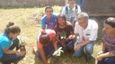 Mais Verde