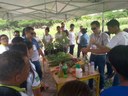Agrofloresta