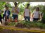 Agrofloresta