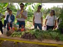 Agrofloresta