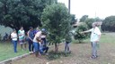Curso