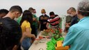 Produção de Plantas Frutíferas e Florestais