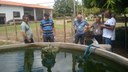 Visita