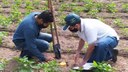 Foi realizada a primeira etapa do projeto de pesquisa “Agroecossistemas e seus impactos nos atributos do solo”