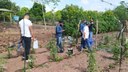 Foi realizada a primeira etapa do projeto de pesquisa “Agroecossistemas e seus impactos nos atributos do solo”