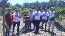 Visita