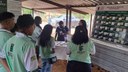 Dia de Campo