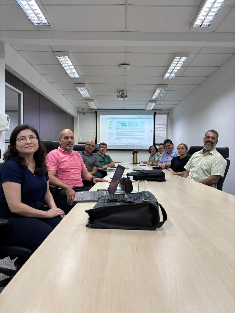 reunião comissão central pdi