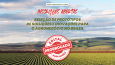 Os projetos devem ser construídos por meio de projetos de extensão ou pesquisa
