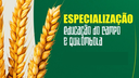 Especialização